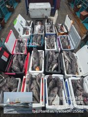 23일, 가을 먼침선,어초~개우럭~오늘도 굿굿~ 연이은 대박 쿨러 굿굿조황~군산낚시프라자 하이원호 사진