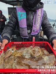 23일 갑오징어 조황 전합니다
