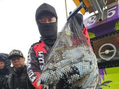 [군산] 10/23. 군산. 대한낚시. 갑오징어. 갈무리. 조황.