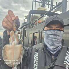 2026년10월24일블랙호조황사진입니다