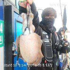 쭈갑출조