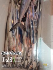 통영나이스피싱!!! 굵은왕갈치 꾹꾹 수요일 부터 대마골 그곳으로 사진