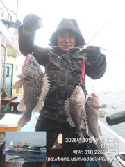 24일, 가을 먼침선,어초~개우럭~날이면 날마다 굿굿~ 연이은 대박 쿨러 굿굿조황~군산낚시프라자 하이원호 사진
