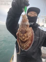 [진해] 내만 갈치 용가리급 씨알이들 퍼담고~~(월욜부터 예약 가능)