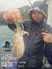 [사천] 10/25 블랙드래곤 갑오징어 꾸준히~(낼자리여유)
