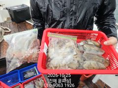 10월 25일 쭈꾸미 갑이 조황