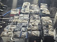 2026년10월25일(6물) 까치선장 자이언트호 쭈/갑 조황