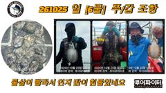 10/25 일 [6물] 쭈꾸미/갑오징어 조항 입니다.