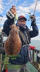 10월25일 쭈갑조황입니다.