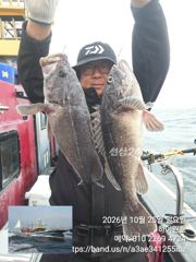 25일, 가을 먼침선,어초~개우럭~날이면 날마다 ~ 꼴랑파도 속에도, 쿨러 굿조황~군산낚시프라자 하이원호