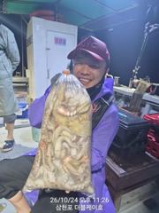 삼천포 문어, 주꾸미 조황!