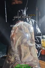 [사천] 24일 씨알 좋은 야간 문어 조황