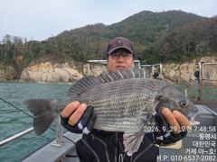 [거제] (감성돔)5짜 54Cm 외 괴물2방 팅 어초여밭 소식 야호(27…