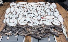 10월26일 먼바다 다운샷&외수질(95광)