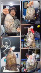 26일 야문 조항입니다