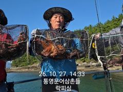 통영(문어 속보) 키로오버 기똥차게 잘나와요~락피싱 (28일 예약)