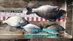 [부산] 가덕천성진양 오늘조항 20261027 화