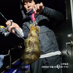(무늬)75수 퍼담고 신발짝 갑이까지 우당탕탕~스마일호(오늘예약)