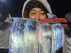 [진해] 와.28일새벽,내만칼치3지4지용가리대박~엄청나게잡고전원쿨러.목욜…