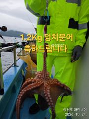 삼천포 마린보이 10. 29. 목요일부터 가을문어 주간/야간 뜯으로 출항합니다.