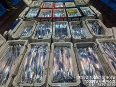 [진해] 준내만갈치~3.4.5지급까지 쿨러 빵빵하다~예약가능합니다