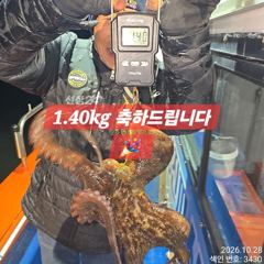 28일 K,K,Kg급으로 올라와 잡고온 야간~돌문어 마리수 잡으러 출조 갑니다@ 오늘,금,토요일~몇 자리 예약가능