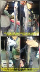 [거제] 대마골 28일 텐빈 조황 예민한 입질에도 쿨러채우셨네요