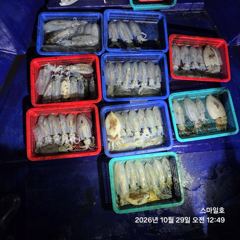 [거제] (무늬)내만팁런 아직 좋네요~64수 고구마들~스마일호(오늘예약)