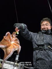 [사천] 삼천포 문어 주꾸미 조황