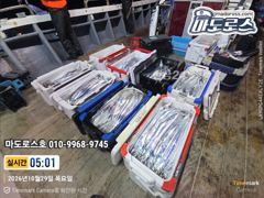 오늘 자리초널널 무조건출항합니다