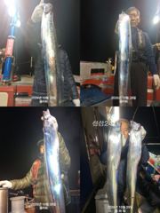 [여수플라워호] 29일 갈치 조황 ~ 010-2004-5524