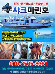 22인승 샤크마린 금토일 무늬오징어 출조 가실분들 연락주세요 010 8505 8321