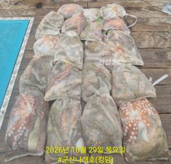 10/30 군산나래호(킹덤) 주간문어 전체조황입니다 내일 1자리 여유있습니다
