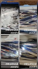 [진해] 29일 먼바다 갈치 텐빈 조황입니다