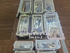 [진해] 내만갈치 잡으로 출발~~~예약가능