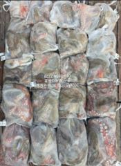 ♦포세이돈호♦⇒30. 왕큰 문어 조황