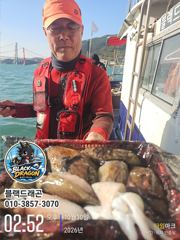 [사천] 10/30 블랙드래곤 갑오징어 꾸준히 ^^ 사진