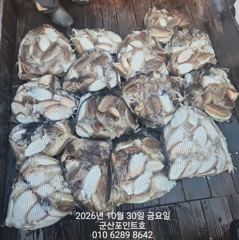 10/30 군산포인트호 연일 찰갑망탱이