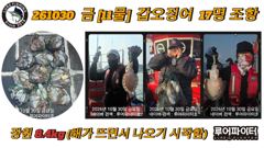 10/30 금 [11물] 갑오징어 17명 조항 입니다. 사진