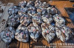 ♡어비스호~ 30일 갑오징어 굿굿 조황~♡ 사진