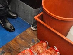 [포항] 포항 쭈꾸미 팡팡 터졌어 연일마리수로 사진