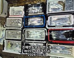 31일,내만갈치,커진 씨알로 손맛 보고,내일출항(일,월~예약가능)