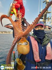 [포항] 10-31(실시간)돌문어 사이즈 굿~일오후 자리널널함