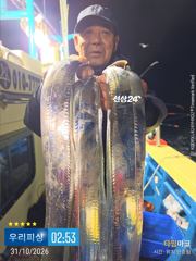준내만갈치(텐빈. 텐야) 조황입니다. (일요일 예약가능)
