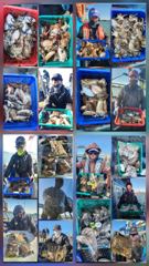 10월31일 오천항 팀오디세이호 쭈꾸미,갑오징어 조황입니다!