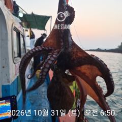 [사천] 암초 포인트 문어 낚시