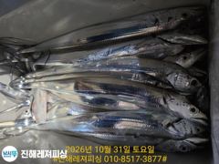 [진해] 내만칼치ㅡ 역시 씨알좋고 3지4지급으로손맛굿(일요일예약가능)