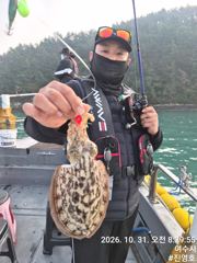 여수진영호) 쭈갑조황. 내일 3 자리 다음주 평일 자리여유!!